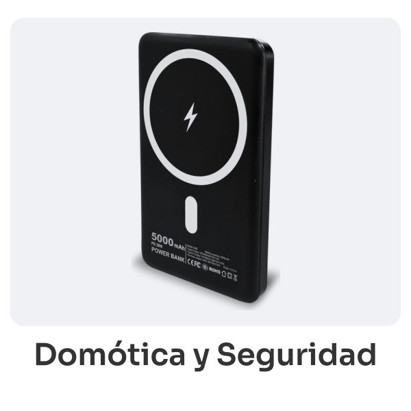 Domótica y Seguridad