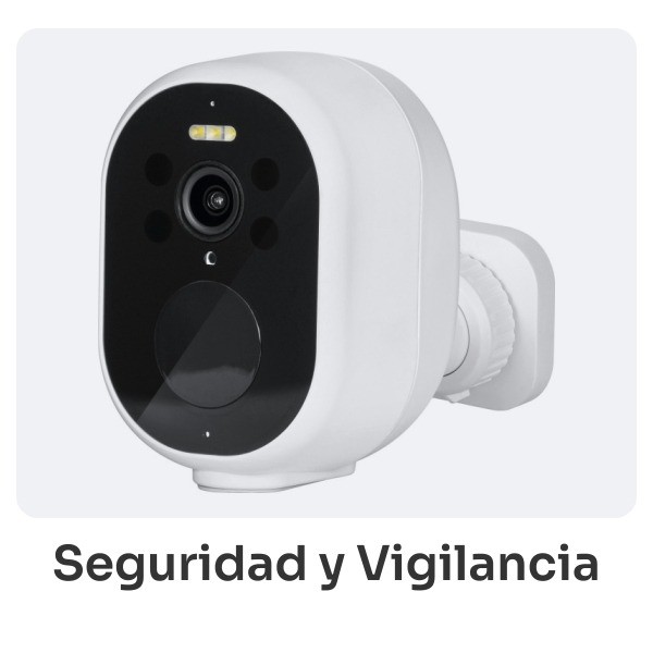 Seguridad y vigilancia
