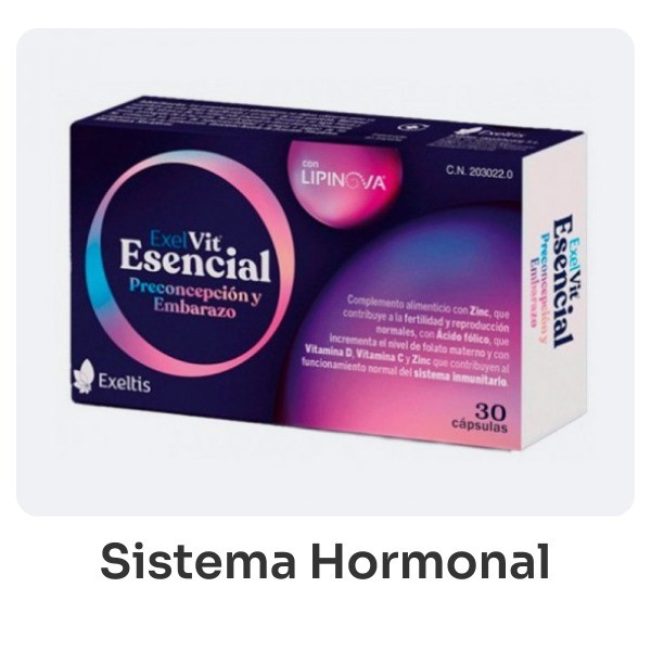 Sistema Hormonal