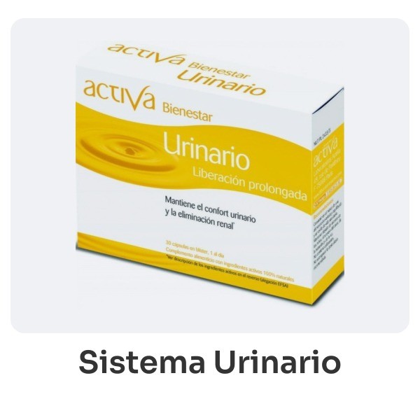 Sistema Urinario