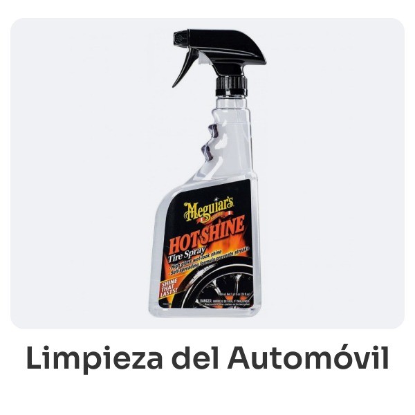 Limpieza del automóvil